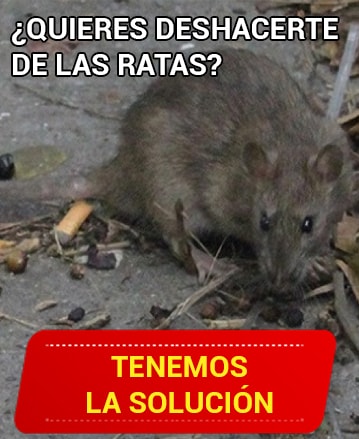 Fumigaciones Integrales