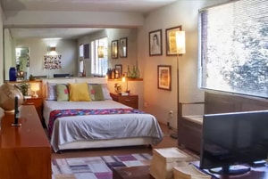 Fumigaciones de Chinches