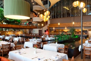 Fumigaciones de Chinches