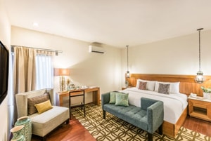 Fumigaciones de Chinches