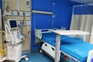 Fumigaciones de Chinches