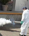 Fumigaciones CDMX